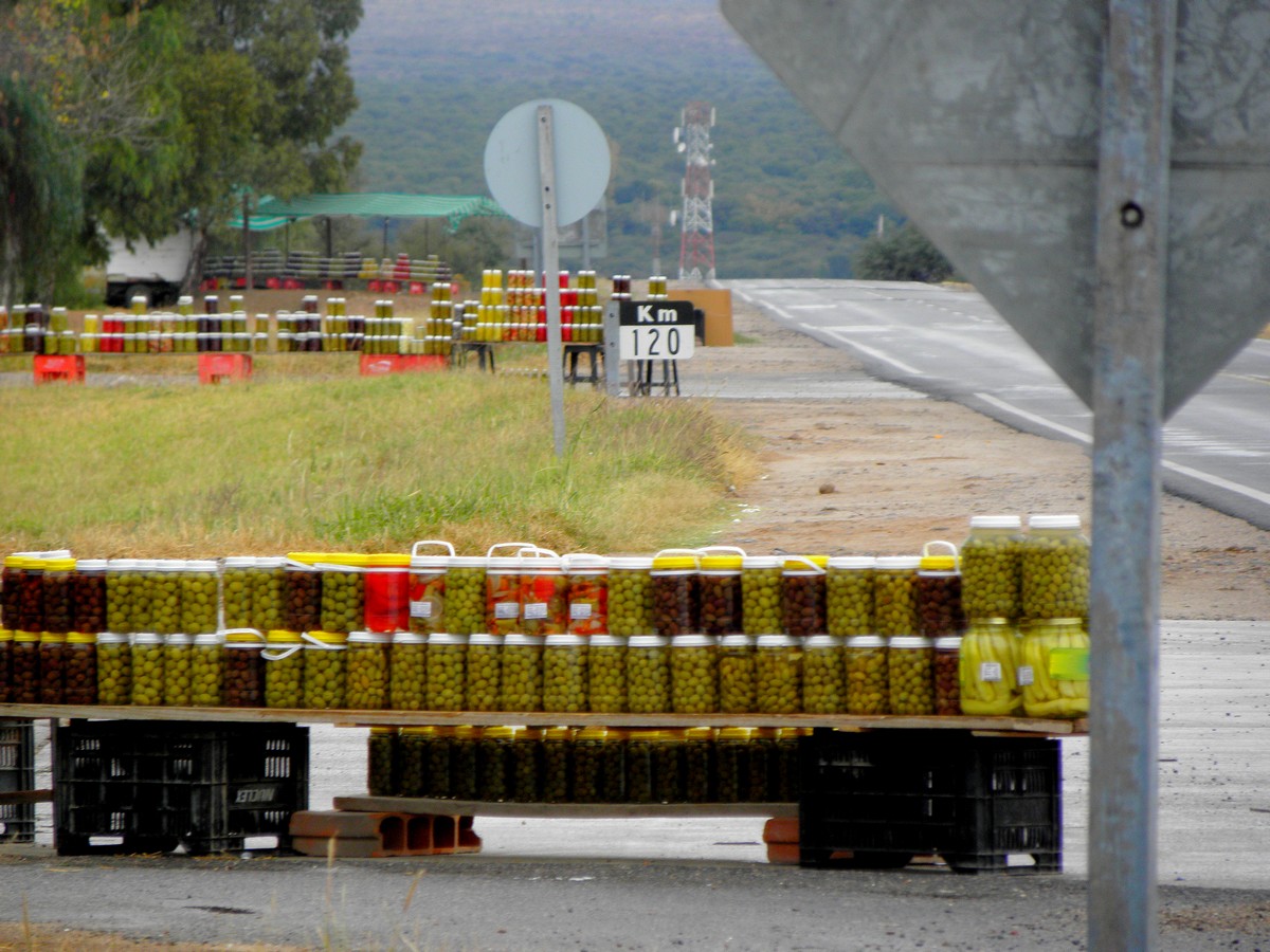<i><h4>et l'industrie de son huile et surtout des olives</i>