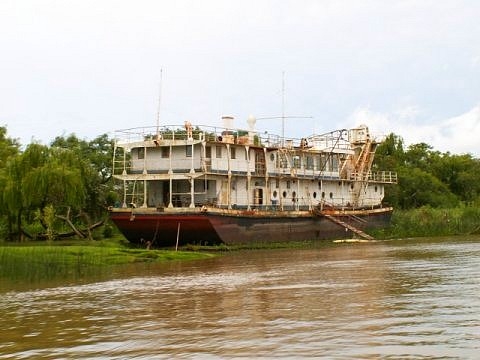 Tigre argentine images