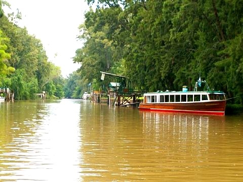 Tigre argentine images