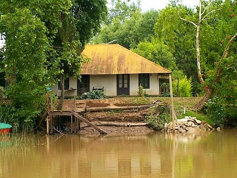 Tigre argentine images