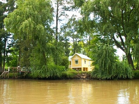 Tigre argentine images