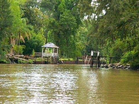 Tigre argentine images