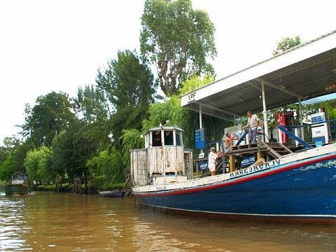 Tigre argentine images