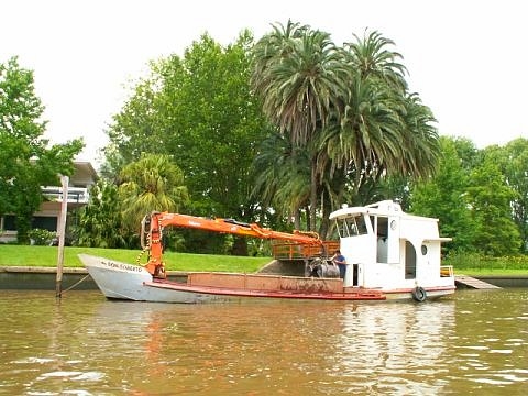 Tigre argentine images