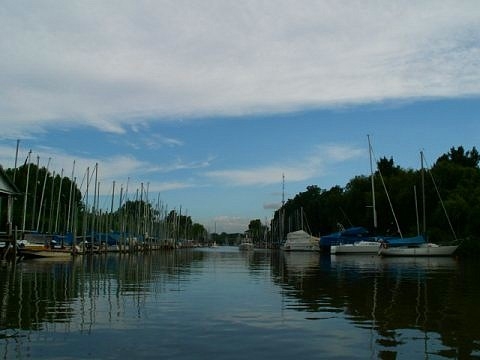 Tigre argentine images