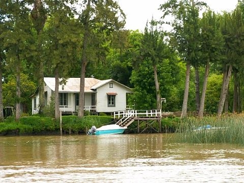 Tigre argentine images