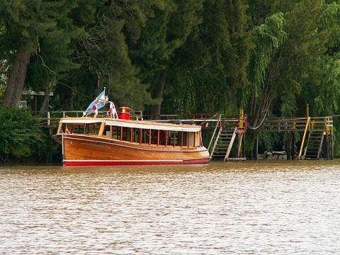 Tigre argentine images