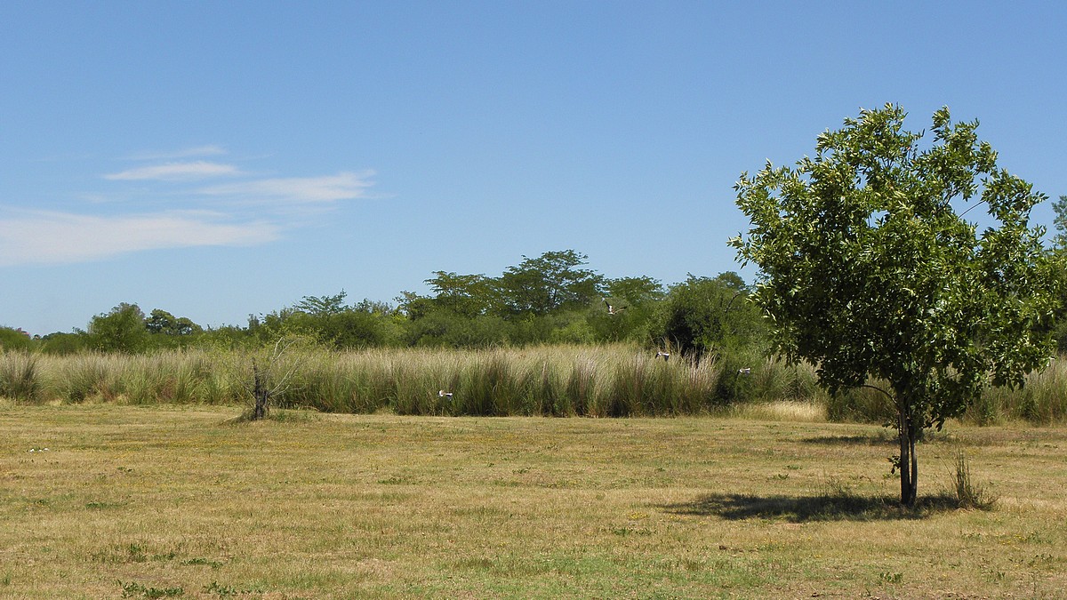 Gualeguaychu