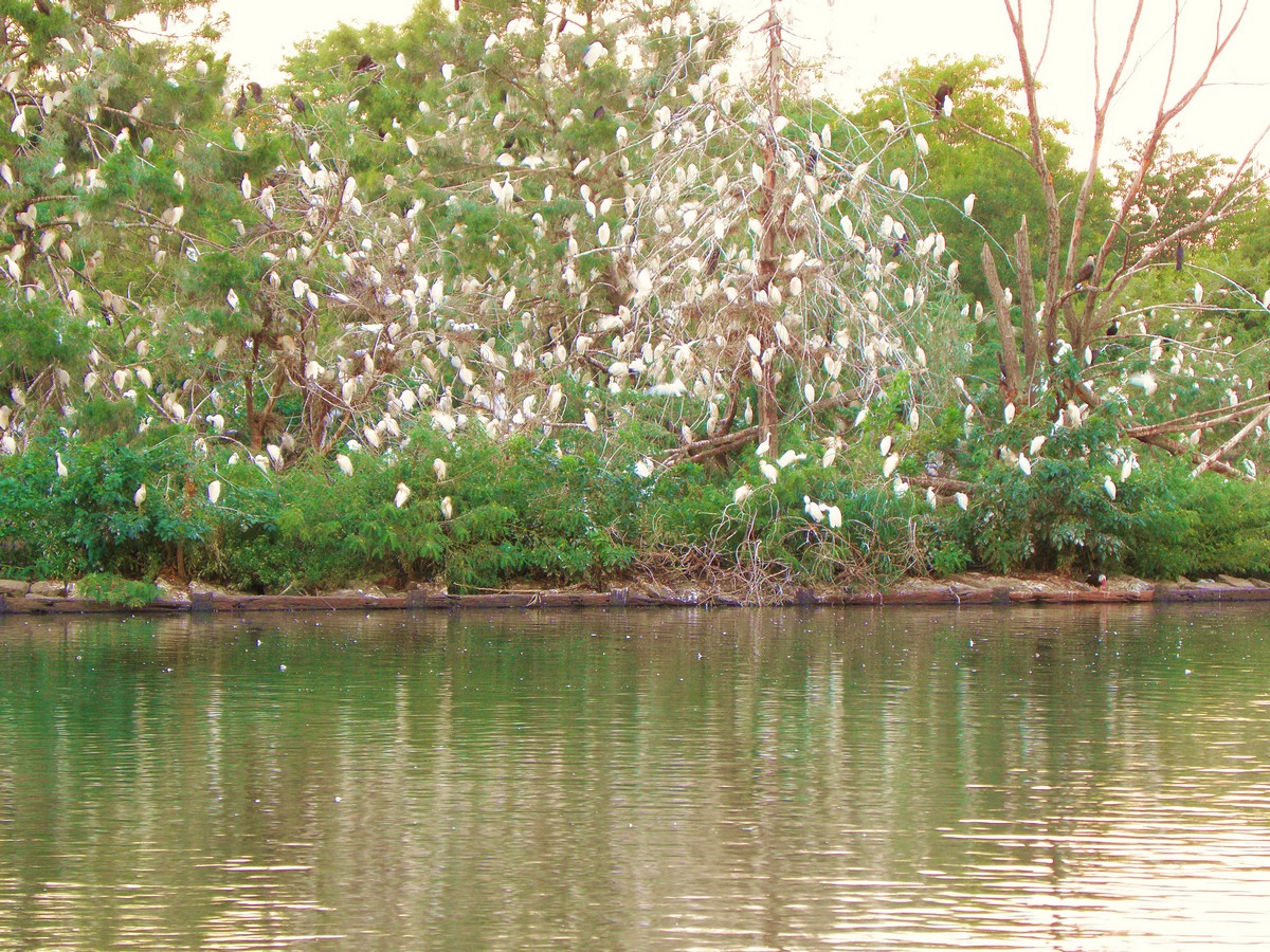 Gualeguaychu