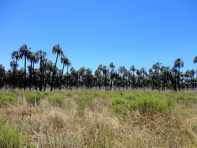 Province d'Entre Ríos, Argentine