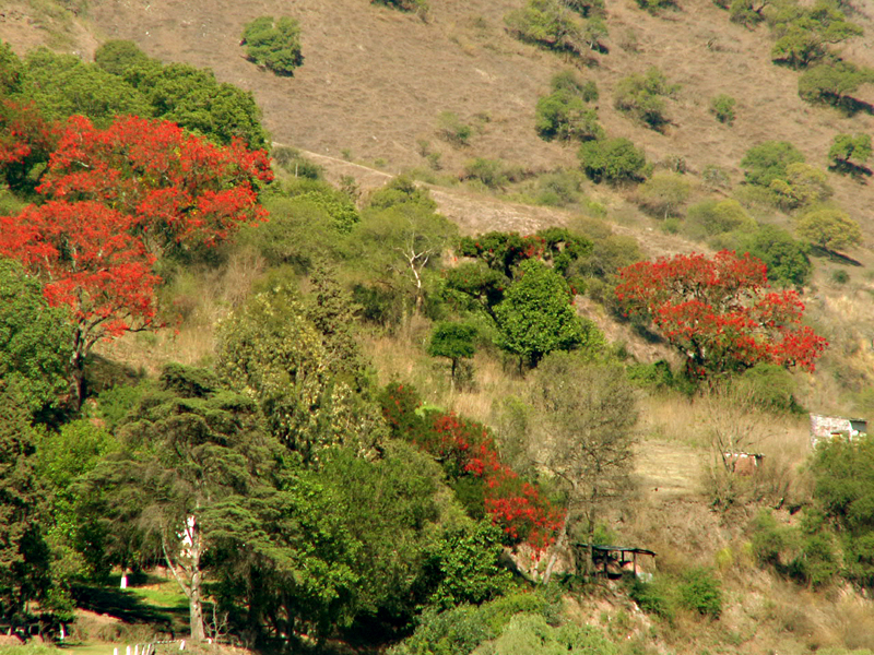 <i>Salta des couleurs...</i>