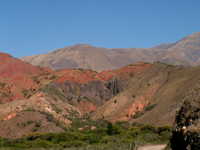 <i>Salta </i>