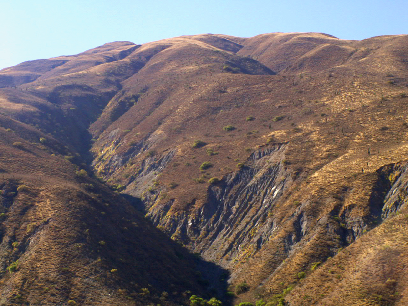 <i>Salta </i>