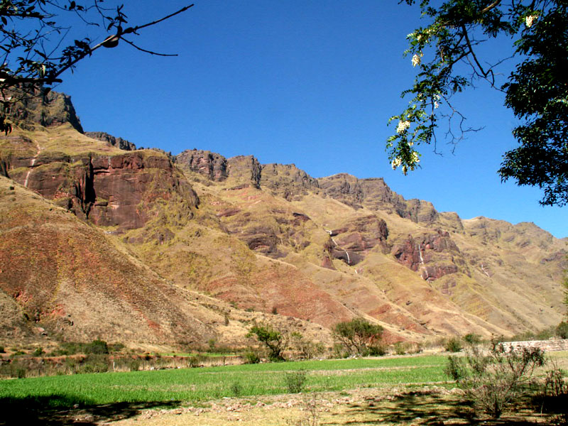 <i>Salta </i>