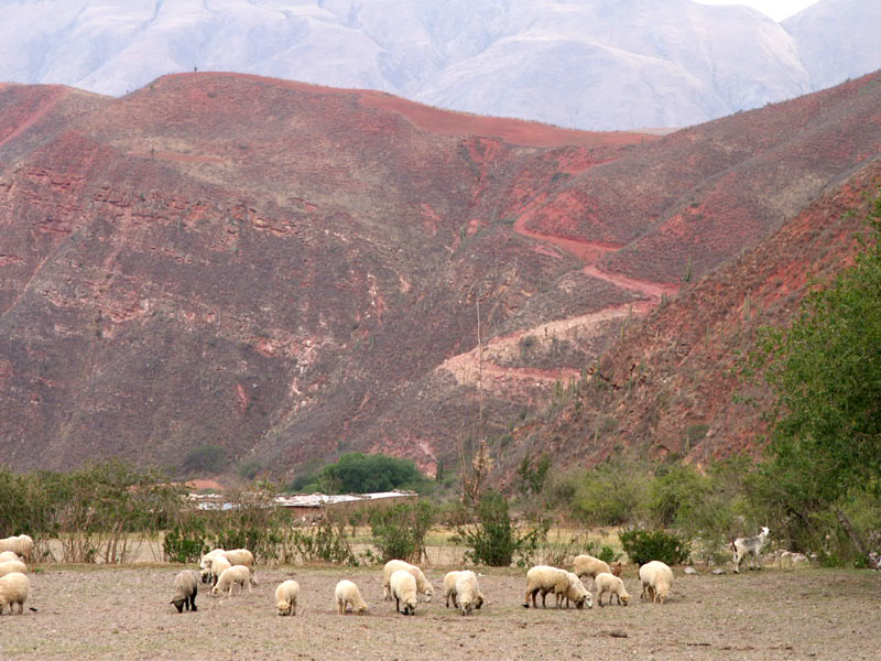 <i>province de salta argentine </i>